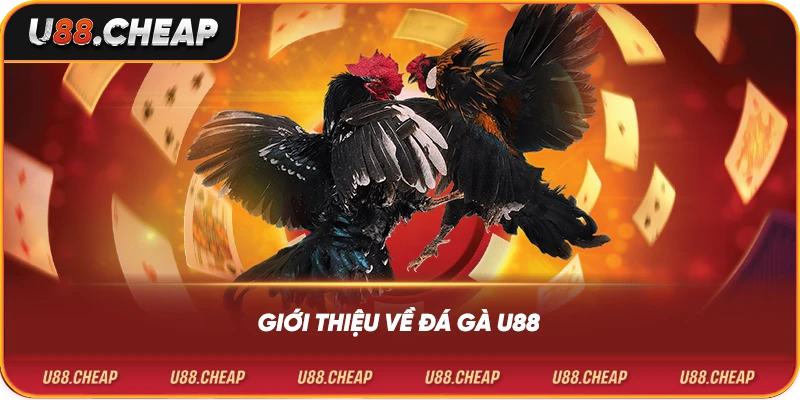 Giới thiệu về đá gà u88