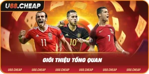 Giới thiệu tổng quan