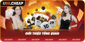 Giới thiệu tổng quan