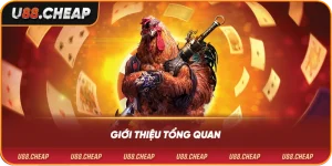 Giới thiệu tổng quan